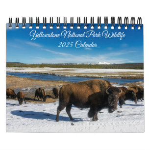 Yellowstone Calendar-Wildlife Calendar