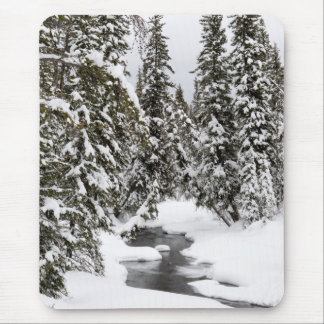 Yellowstone Cold River Flowing Mouse Mat