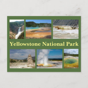 Yellowstone Collage 2 Postcard