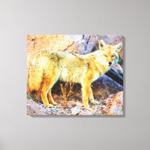 Yellowstone Coyote Canvas Print