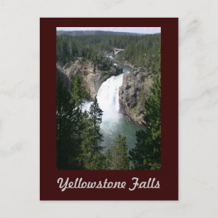 Yellowstone Falls Postcard