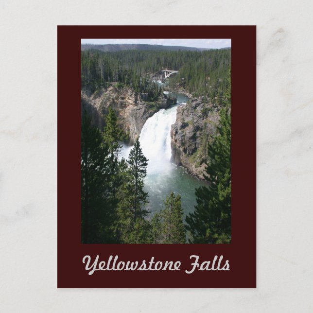 Yellowstone Falls Postcard (Front)