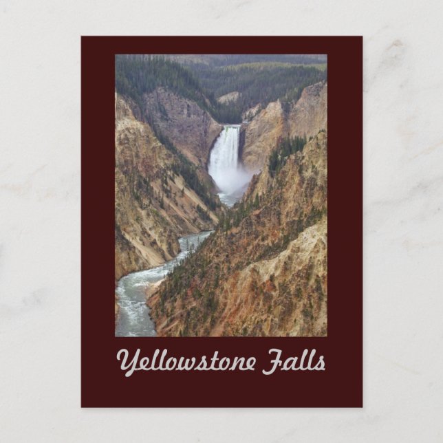 Yellowstone Falls Postcard (Front)