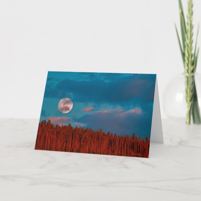 Yellowstone Full Moon Thank You Card (Front)