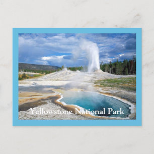 Yellowstone Geyser Postcard