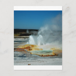 Yellowstone Geysers Postcard