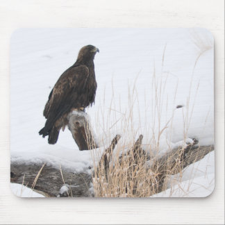 Yellowstone Golden Eagle Mouse Mat