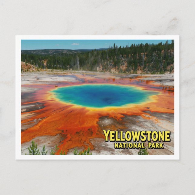 Yellowstone Grand Prismatic Photo Postcard (Front)