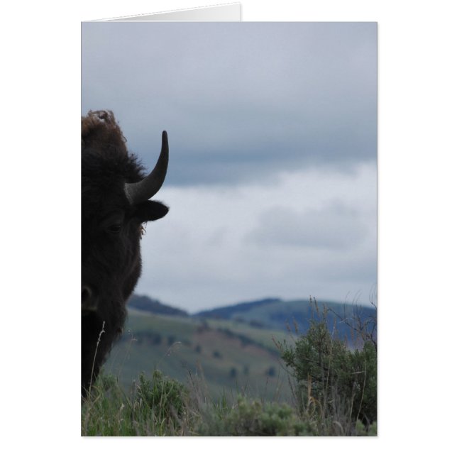 Yellowstone Guardian (Front)