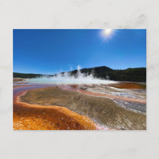 Yellowstone Hot Springs Postcard