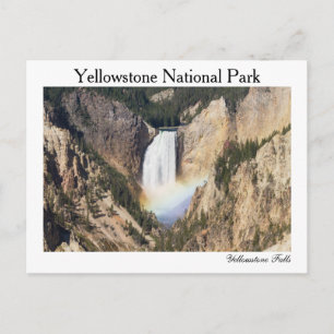 Yellowstone Lower Yellowstone Falls postcard