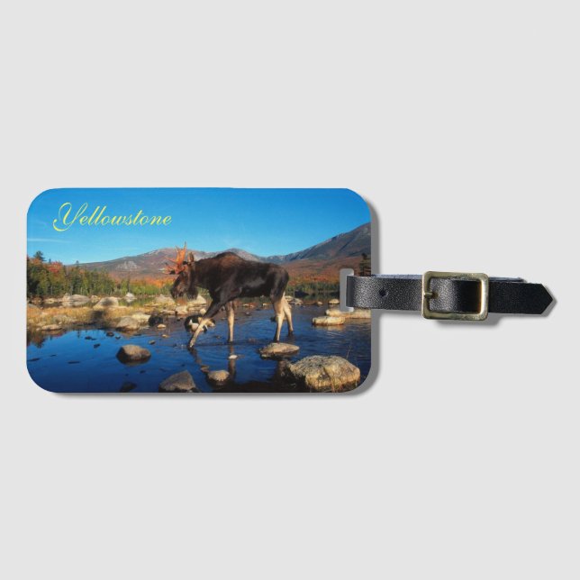 Yellowstone Luggage Tag-Moose Luggage Tag (Front Horizontal)