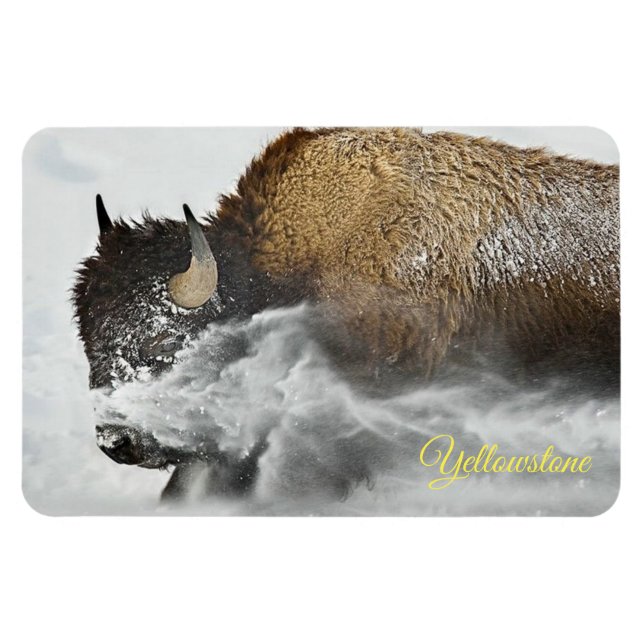 Yellowstone Magnet (Horizontal)