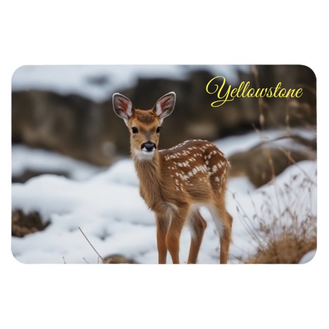Yellowstone Magnet-Fawn Deer Magnet (Horizontal)