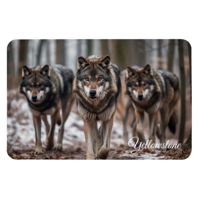 Yellowstone Magnet-Wolves Magnet (Horizontal)