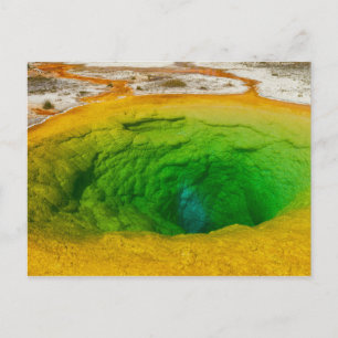 Yellowstone - Morning Glory Pool postcard