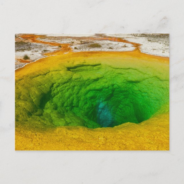 Yellowstone - Morning Glory Pool postcard (Front)