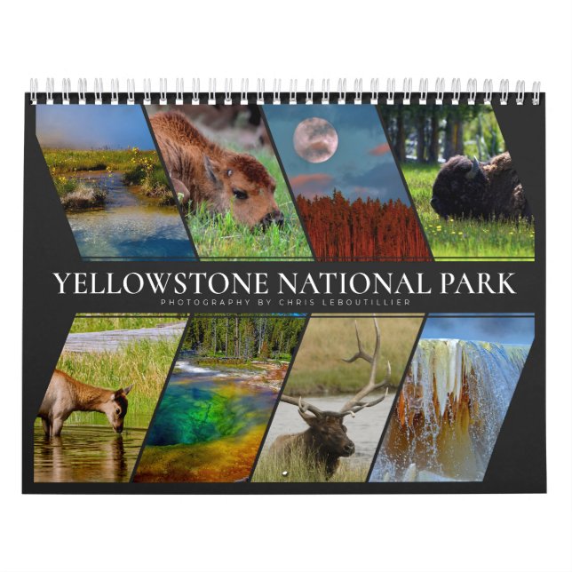 Yellowstone National Park A Very Special Place Calendar (Cover)