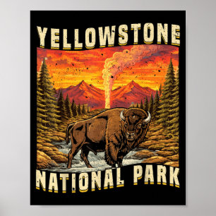 Yellowstone National Park Bison Buffalo Cows Poster