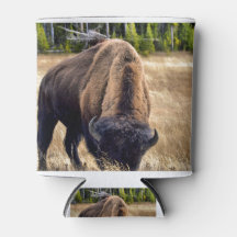 Yellowstone National Park Bison