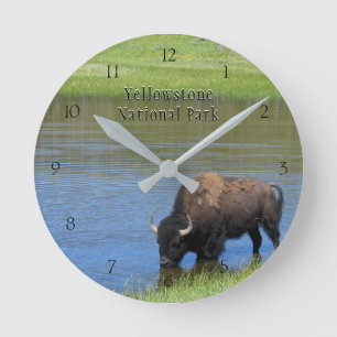 Yellowstone National Park Bison in Pond Round Clock