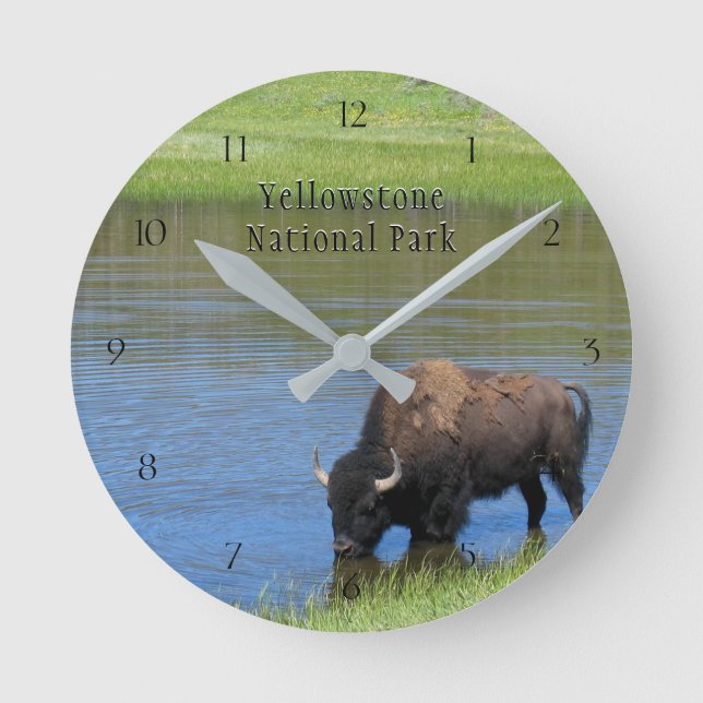 Yellowstone National Park Bison in Pond Round Clock (Front)