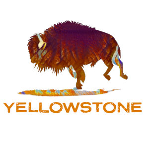 Yellowstone National Park Bison T-Shirt
