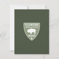 Yellowstone National Park Bison