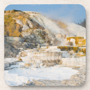 Yellowstone National Park Coaster