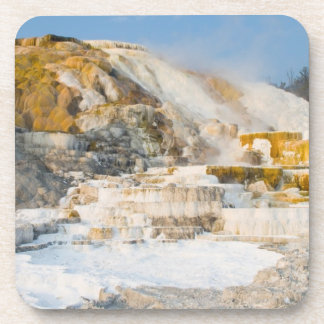Yellowstone National Park Coaster
