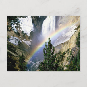 Yellowstone National Park Customisable Gifts Postcard