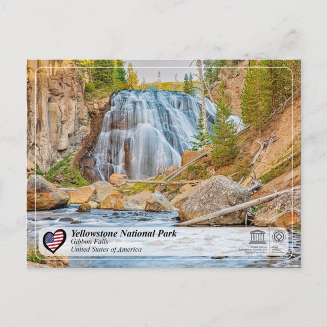 Yellowstone National Park - Gibbon Falls Postcard (Front)