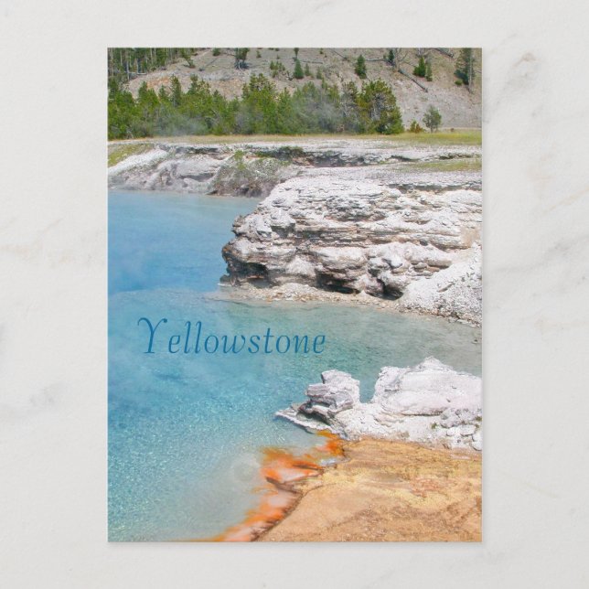 Yellowstone National Park Hotsprings Postcard (Front)