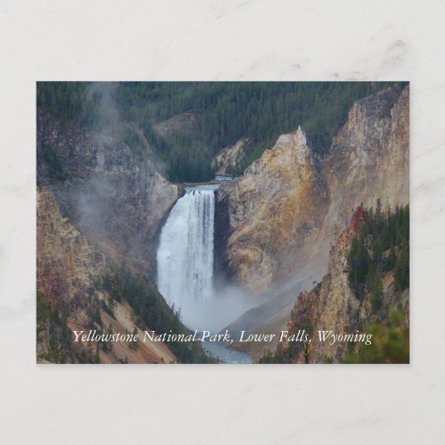 Yellowstone National Park, Lower Fa... Postcard (Front)