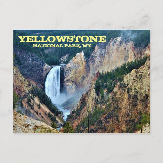 Yellowstone National Park, Lower Falls Postcard (Front)
