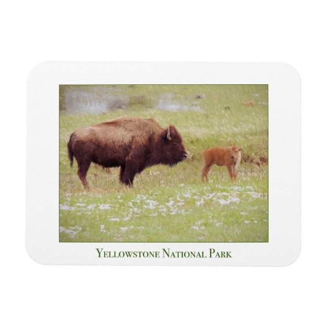 Yellowstone National Park magnet with bison & calf (Horizontal)
