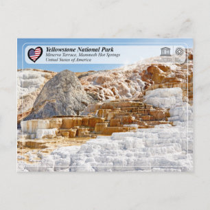 Yellowstone National Park - Minerva Terrace Postcard