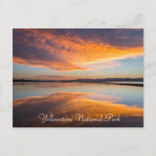Yellowstone National Park Montana Postcard