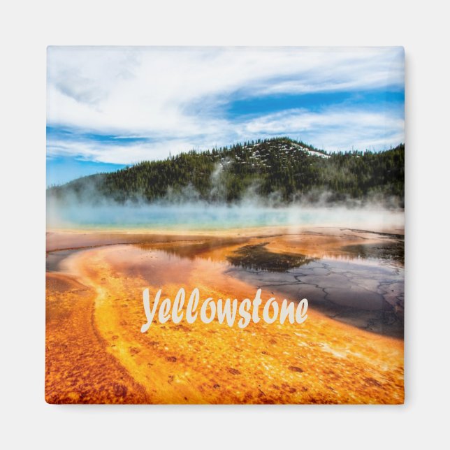 Yellowstone National Park Mountains Nature Animals Magnet (Front)