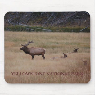 YELLOWSTONE NATIONAL PARK MOUSE MAT