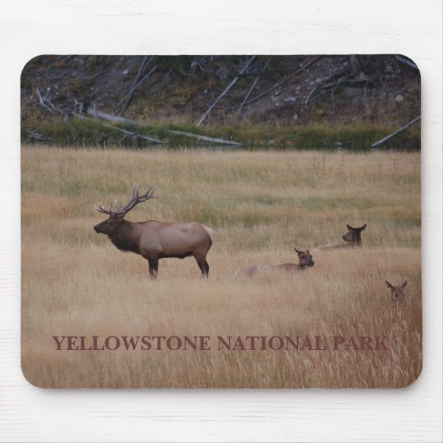 YELLOWSTONE NATIONAL PARK MOUSE MAT (Front)