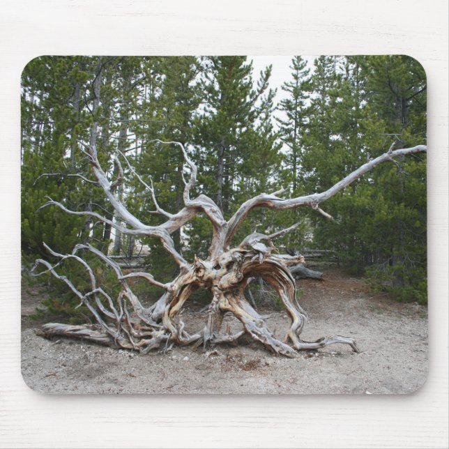 Yellowstone National Park Mouse Pad (Front)