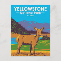 Yellowstone National Park Mule Deer Vintage