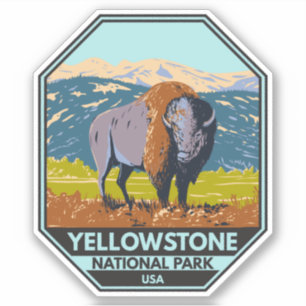 Yellowstone National Park North American Bison