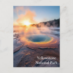 Yellowstone National Park Postcard