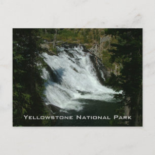 Yellowstone National Park Postcard