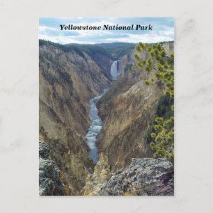 Yellowstone National Park Postcard