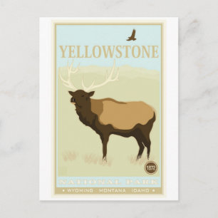 Yellowstone National Park Postcard