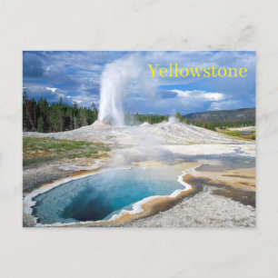 Yellowstone National Park Postcard