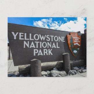 Yellowstone National Park Postcard